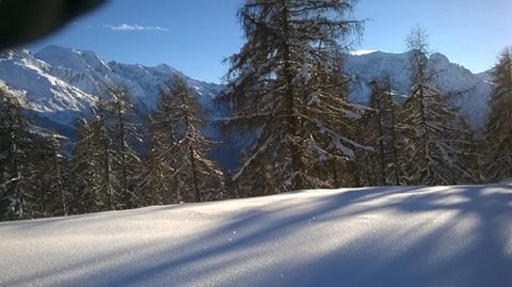 Albergo Eden Ponte Di Legno Εξωτερικό φωτογραφία